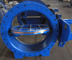 AWWA DN1000 Worm Gear Excentric Butterfly Valve / شیر پروانه صنعتی